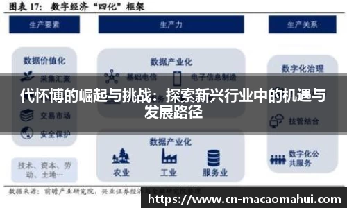 代怀博的崛起与挑战：探索新兴行业中的机遇与发展路径
