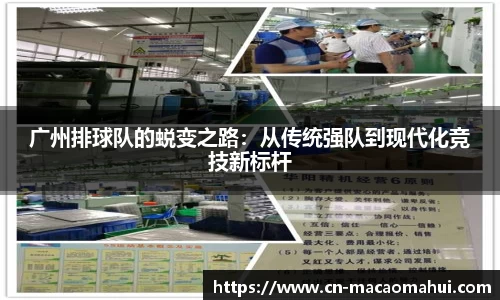广州排球队的蜕变之路：从传统强队到现代化竞技新标杆